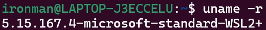 WSL2+Ubuntu20.04+ROS1 Noetic下，如何复现ORB-SLAM3算法_wsl ubuntu ros