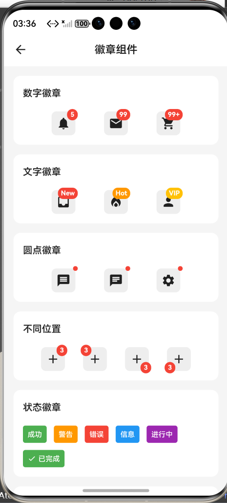 运行效果