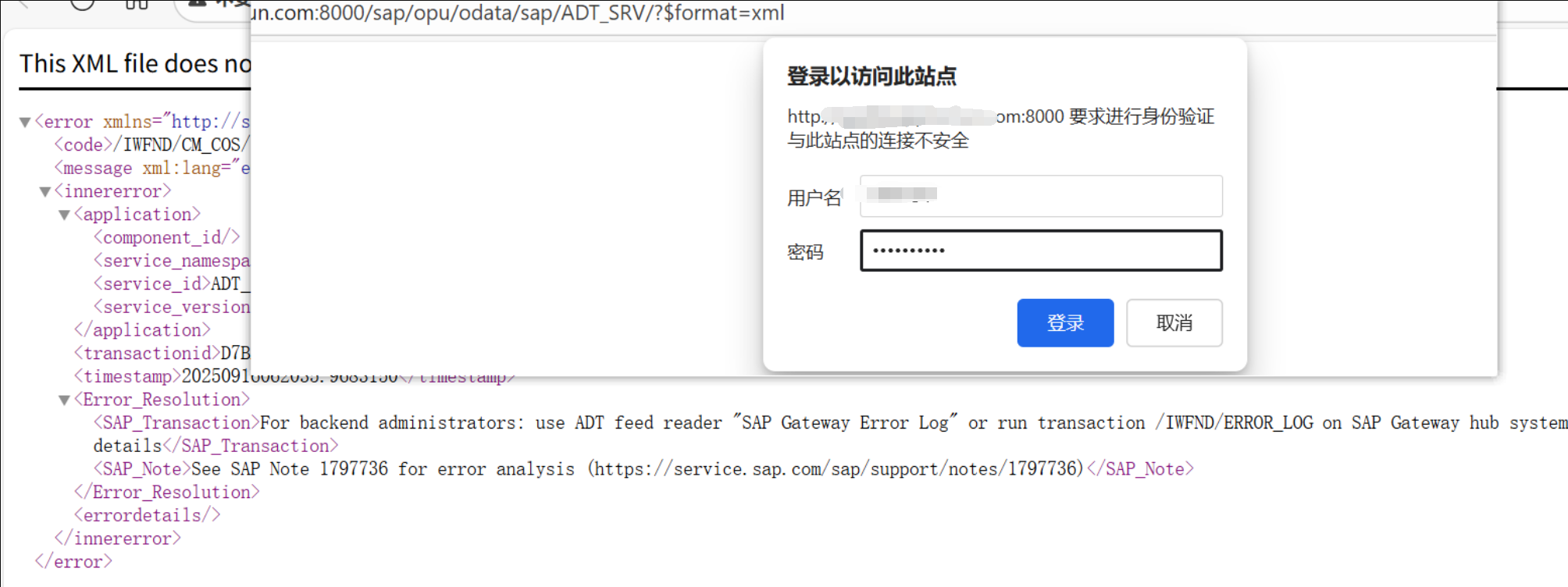 SAP 搭建BAS环境开发Fiori (胎级教程)_sap fiori开发教程-CSDN博客