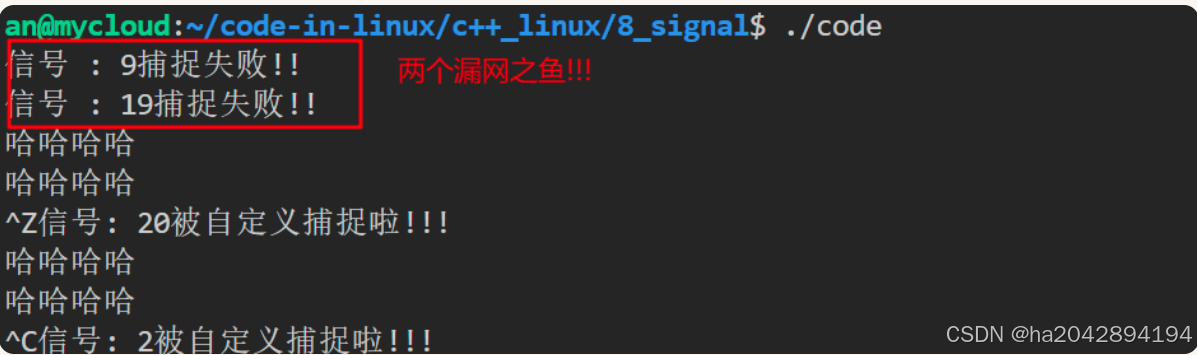 ![[信号捕捉的漏网之鱼.png]]
