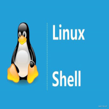 Shell学习笔记-CSDN博客