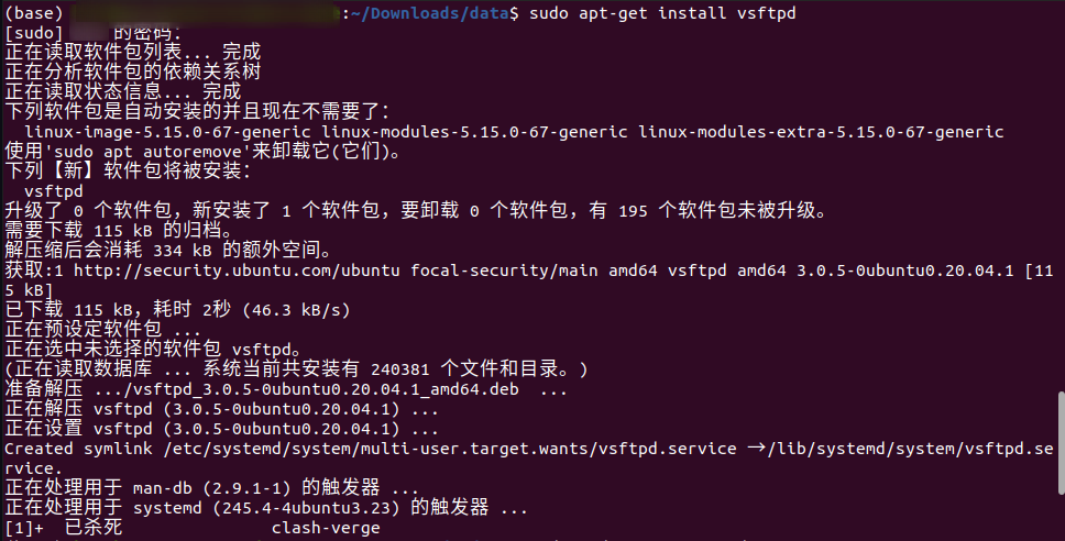 命令的结果展示