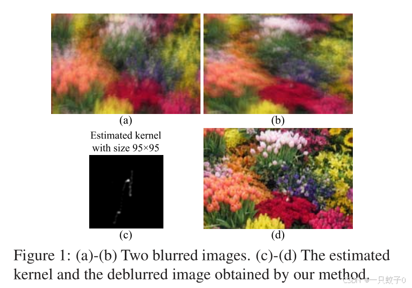 《Exploring Aligned Complementary Image Pair for Blind Motion Deblurring》