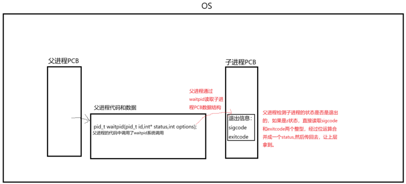 进程等待----wait函数/waitpid函数-CSDN博客