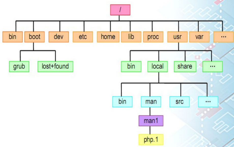 Linux 基础(一):系统认知、文件结构与人机交互-CSDN博客