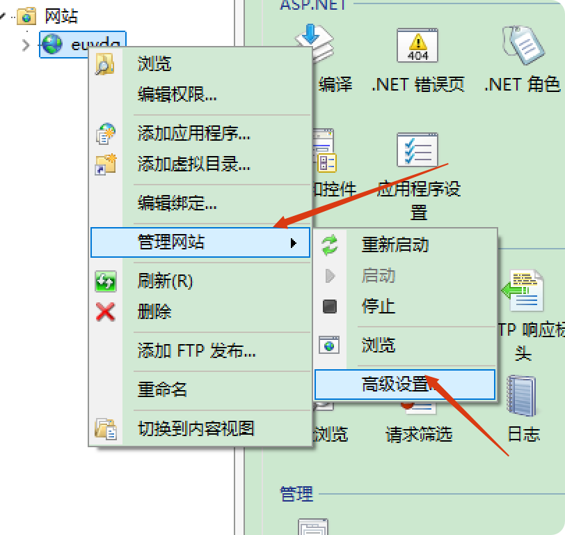 IIS