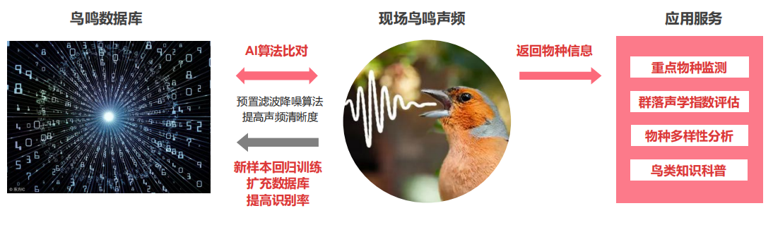 快瞳声纹识别算法示意