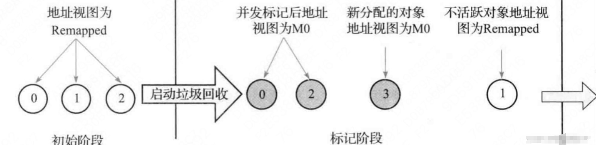 Java程序员廖志伟