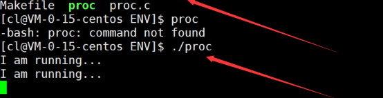 Linux 进程概念