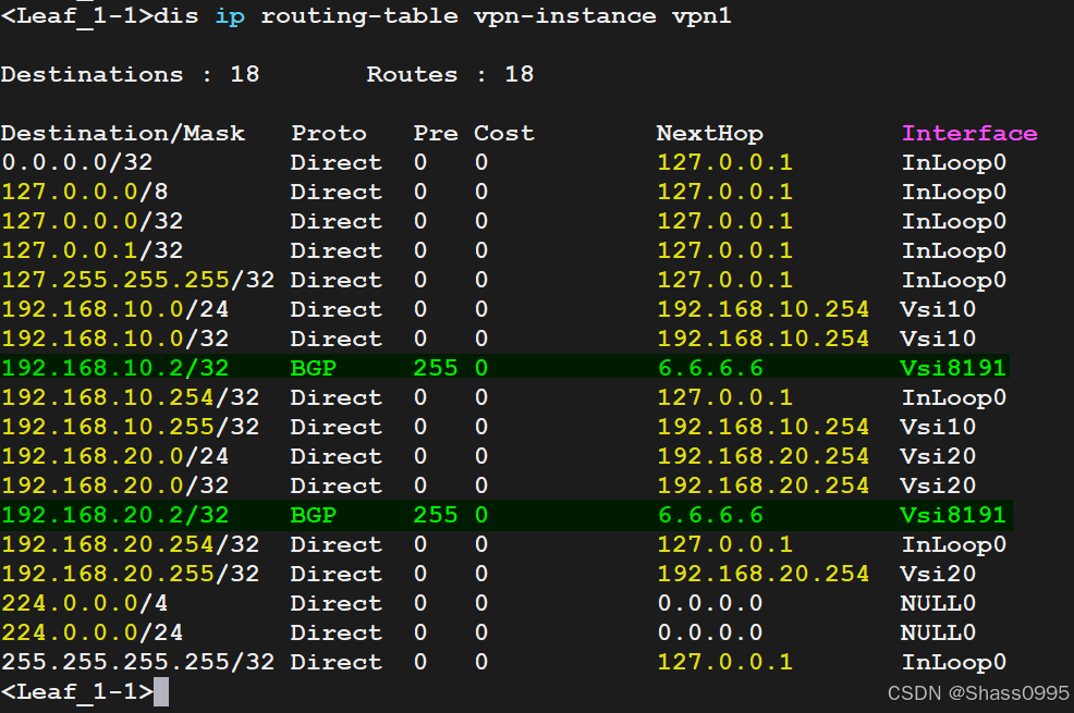 Leaf_1-1_ipv4_vpn-instance_vpn1_routes