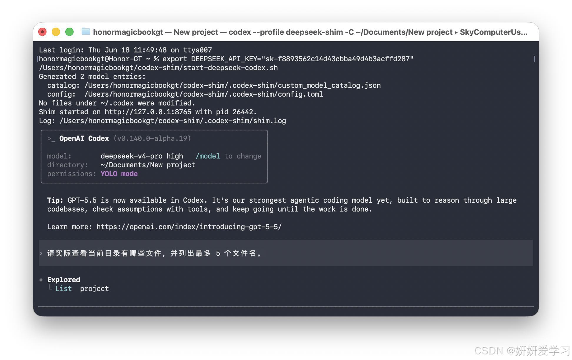 Codex 开放自定义模型供应商配置 _Codex 支持第三方开源模型接入 _Python venv
