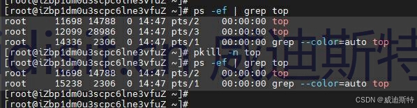 Linux系统下的进程管理利器：pkill命令详解-CSDN博客