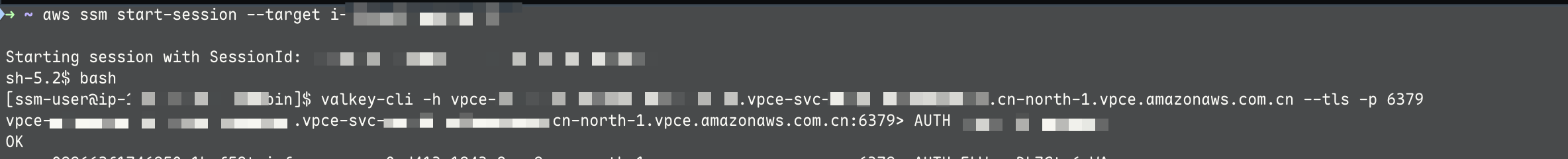 测试跨账号访问Redis