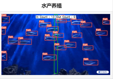 人工智能水产养殖案例