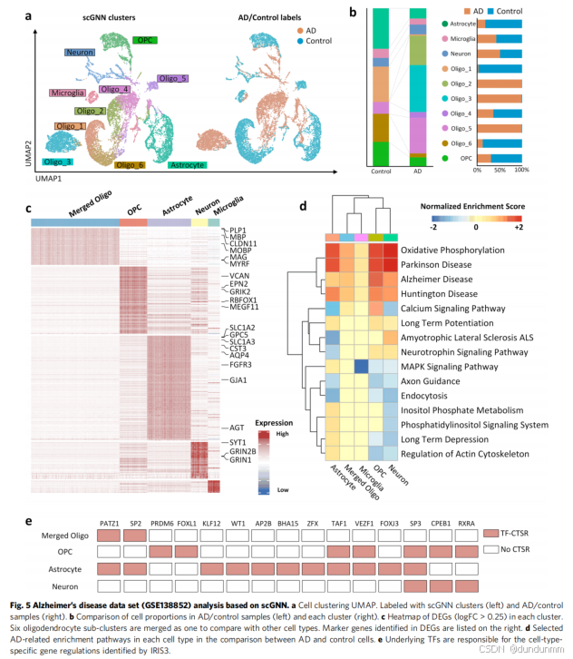 Scgraph 论文阅读:scGNN is a novel graph neural network frameworkfor single-cell RNA ...