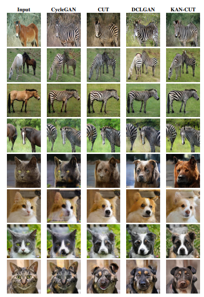 Comparative Results of Horse → Zebra and Cat → Dog