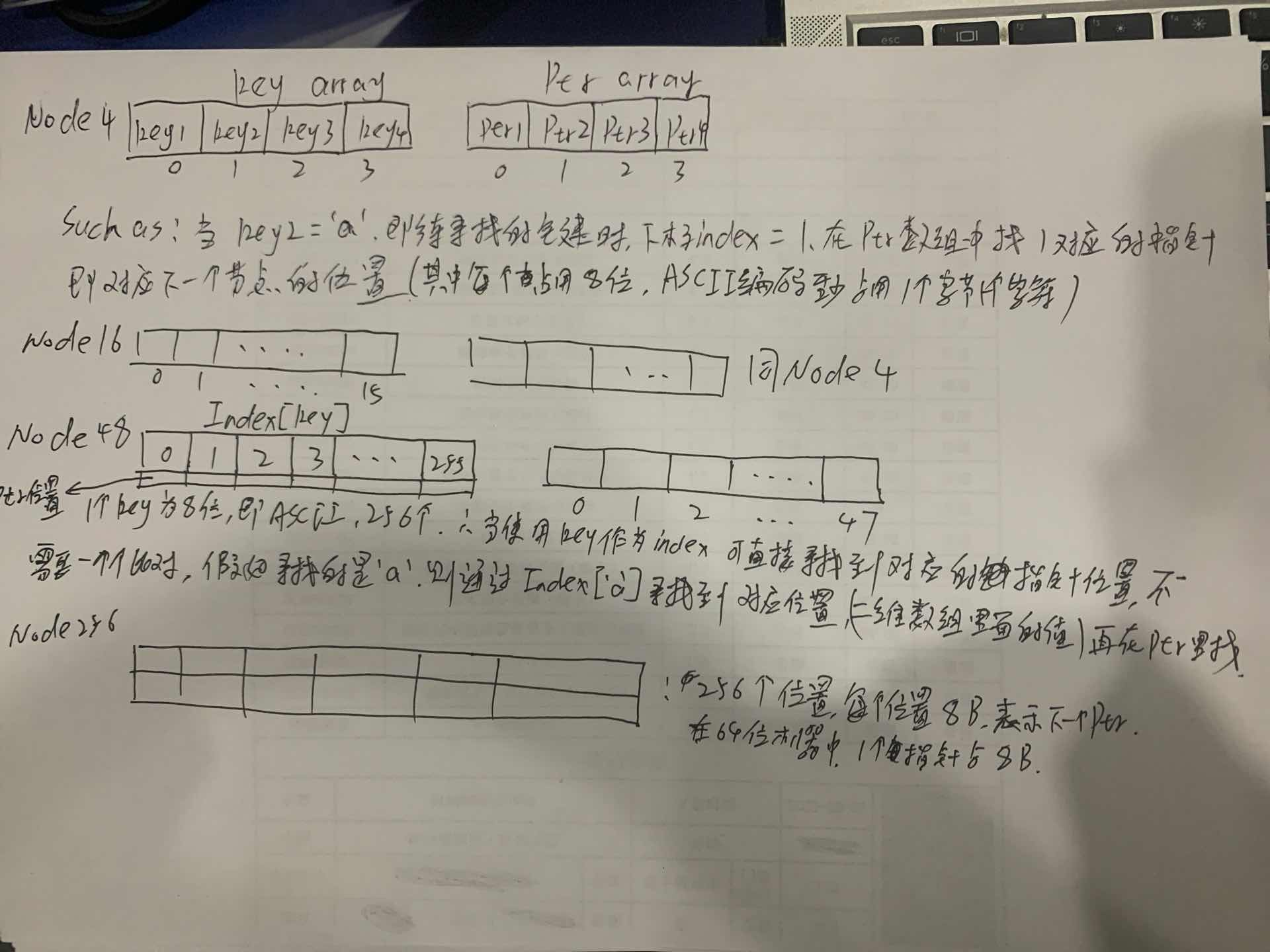 4种自适应节点
