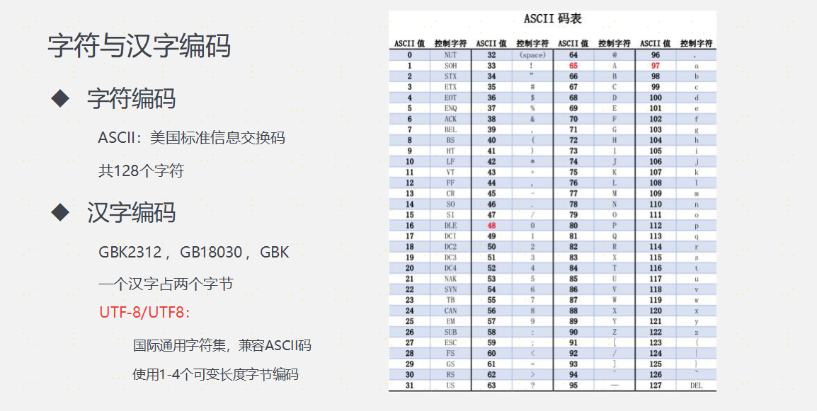 数据的表示和运算