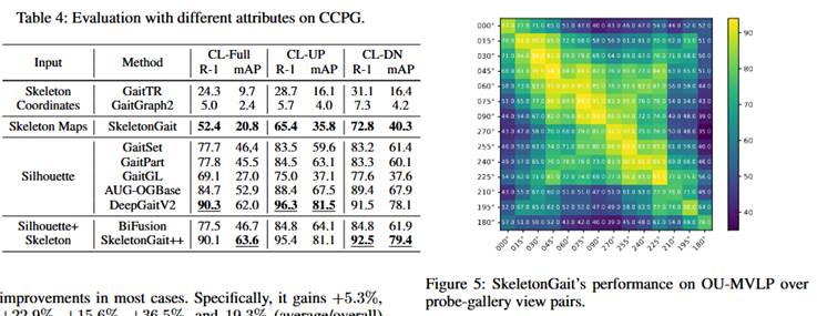 《SkeletonGait: Gait Recognition Using Skeleton Maps》论文导读-CSDN博客