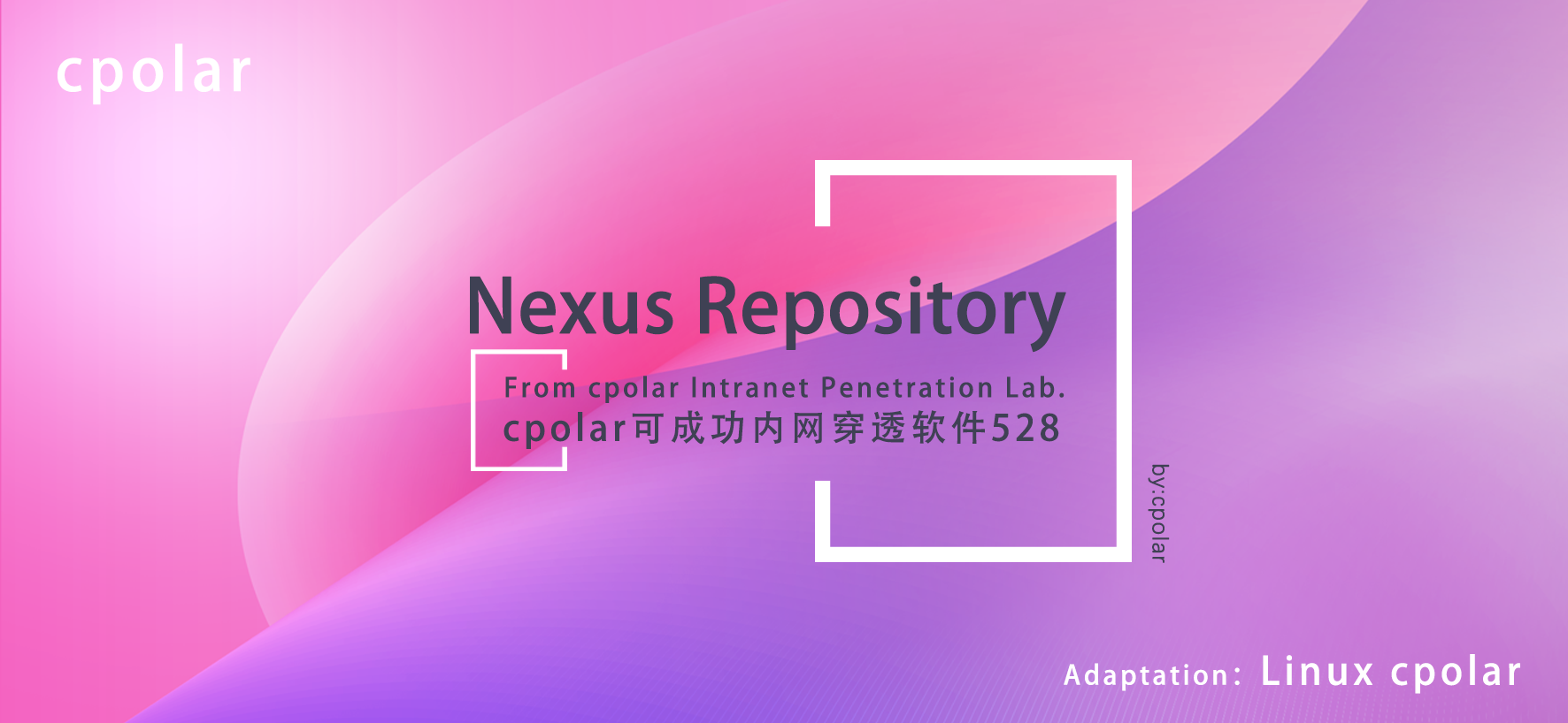 Maven仓库的存储密室Nexus Repository：cpolar内网穿透实验室第528个成功挑战-CSDN博客