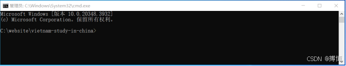 Windows server服务器上部署python项目（超详细教程）_python 服务器上部署