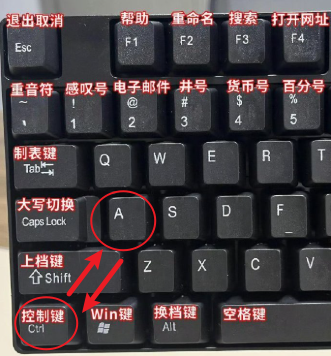 全选快捷键Ctrl加什么？【图文详解】全选的快捷键是什么？电脑全选快捷键？excel、word文档全选？_电脑快捷键全选怎么设置出来-CSDN博客