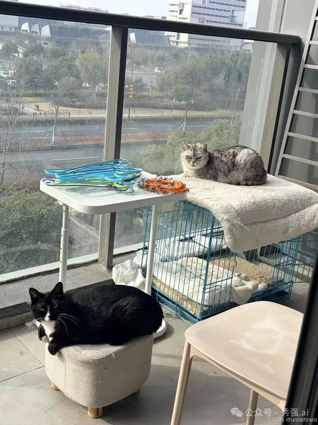 3612f9a92385f15afabeb9522dda9a83