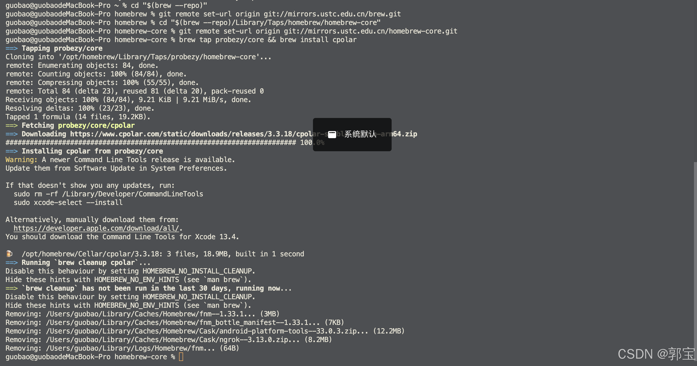 Error: Failure while executing; `git clone https://github.com/probezy ...