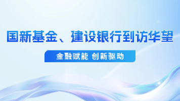 金融赋能 创新驱动——国新基金、建设银行到访华望封面图