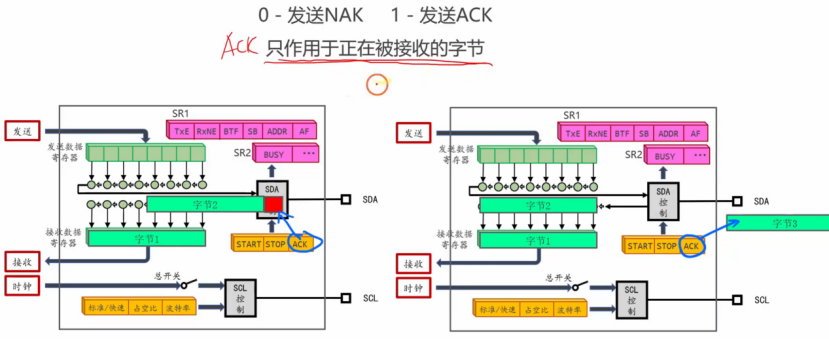 【STM32】江科大STM32小白养成记