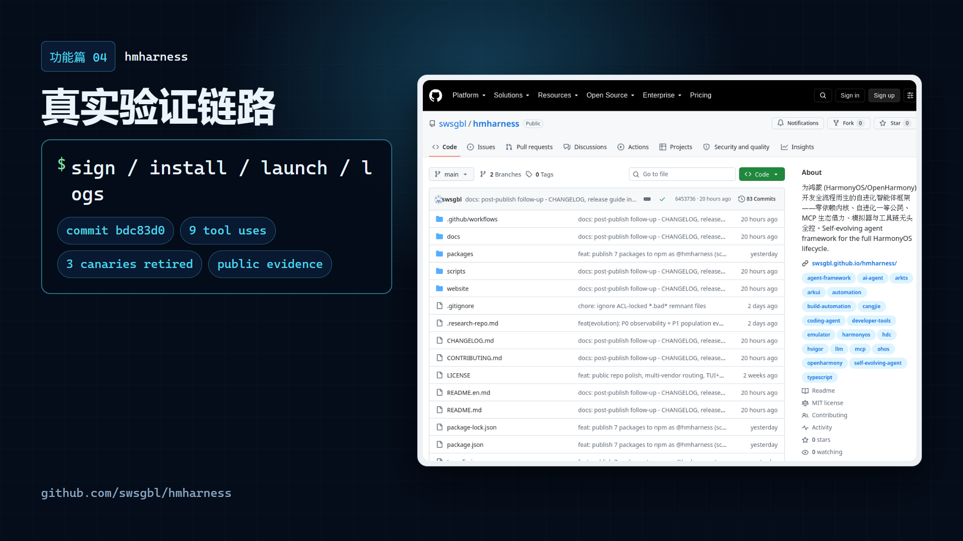 功能演示视频封面