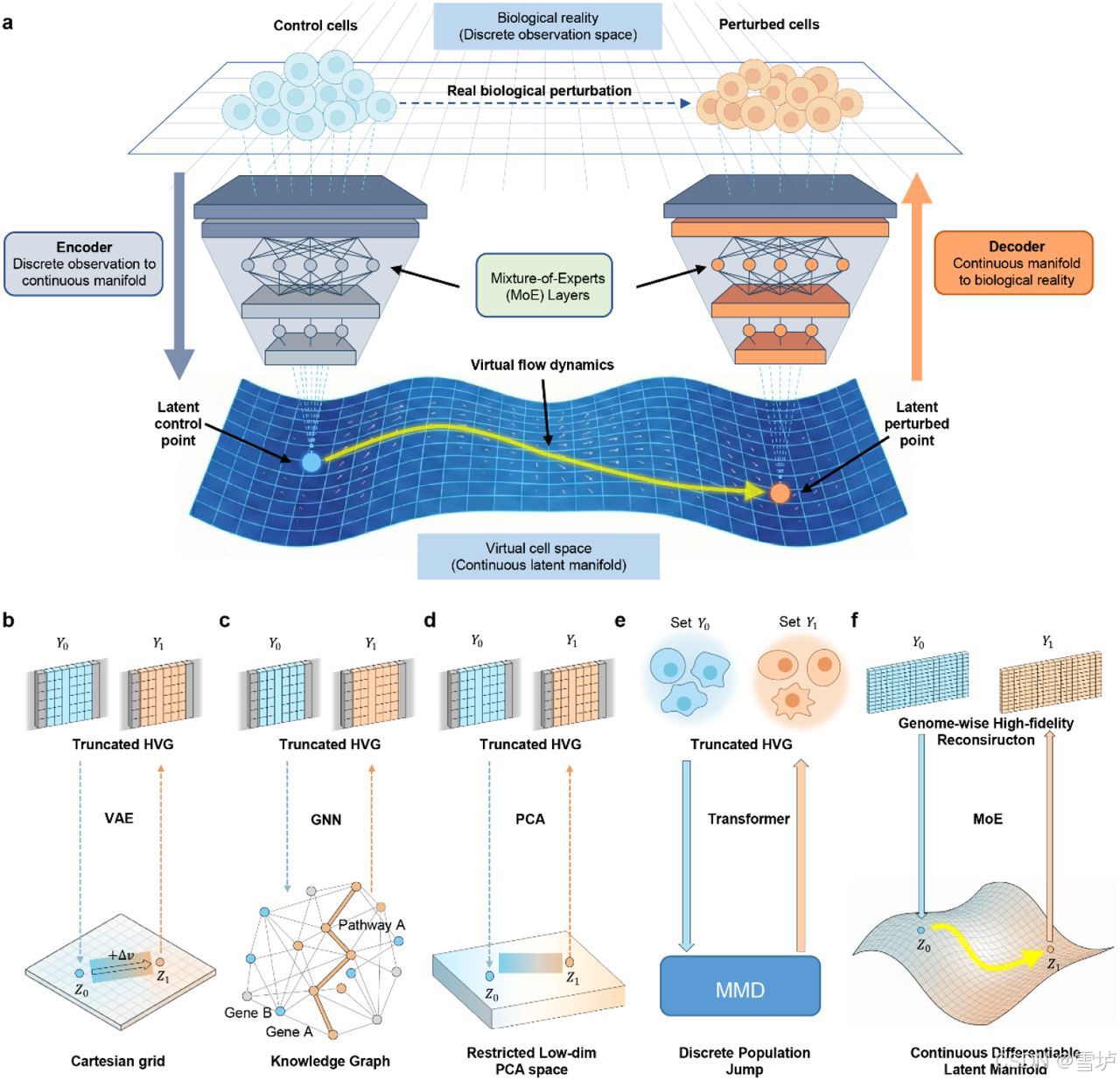 【AlphaCell】_towards building a world model to simulate perturb-CSDN博客