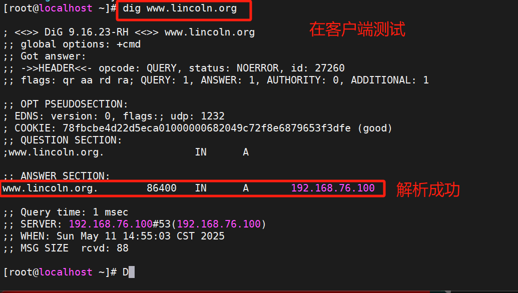 【Linux笔记】DNS域名解析服务器（dns的安装、named.conf、resolv.conf、named.rfc1912.zones、slave辅助dns）_named 域名服务安装