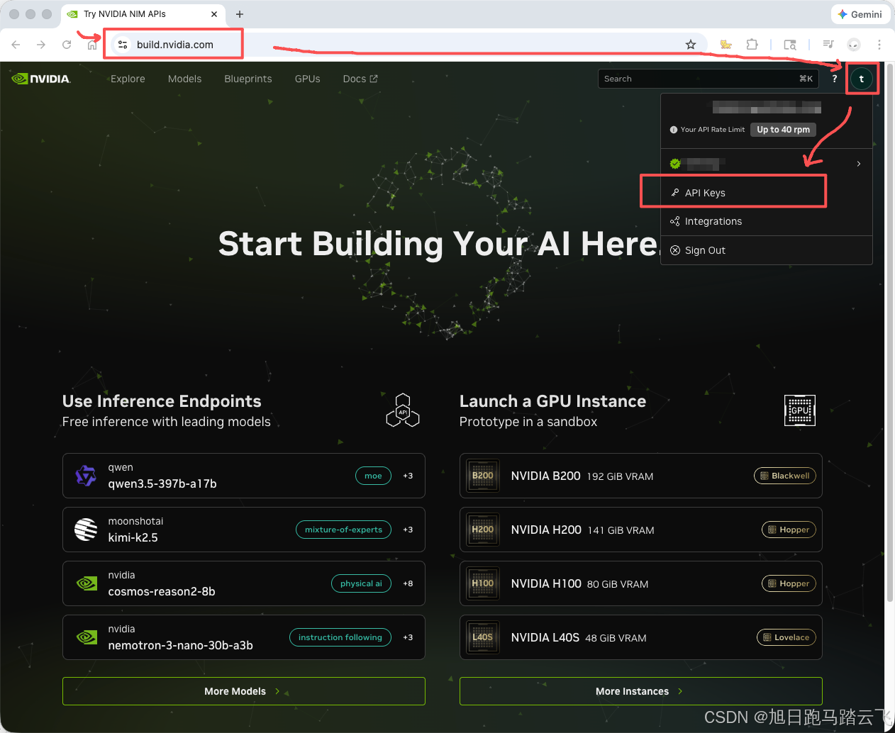 Nvidia Name Api 一文搞定AI API申请收集-CSDN博客