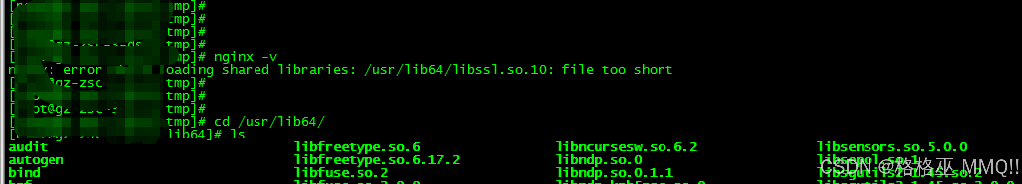 nginx: error while loading shared libraries: libssl.so.10: cannot open ...
