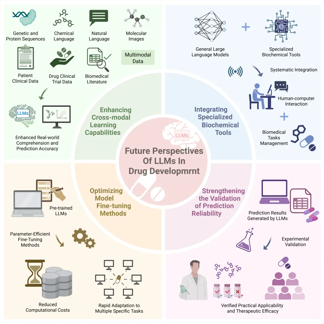 LLMs 在药物开发中的未来方向