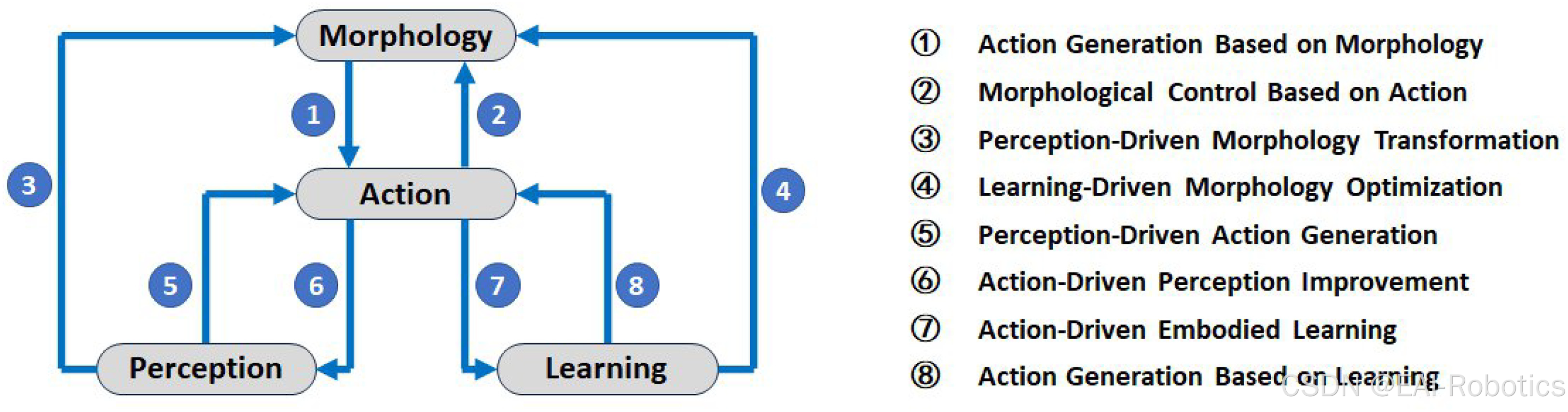 The architecture of embodied intelligence