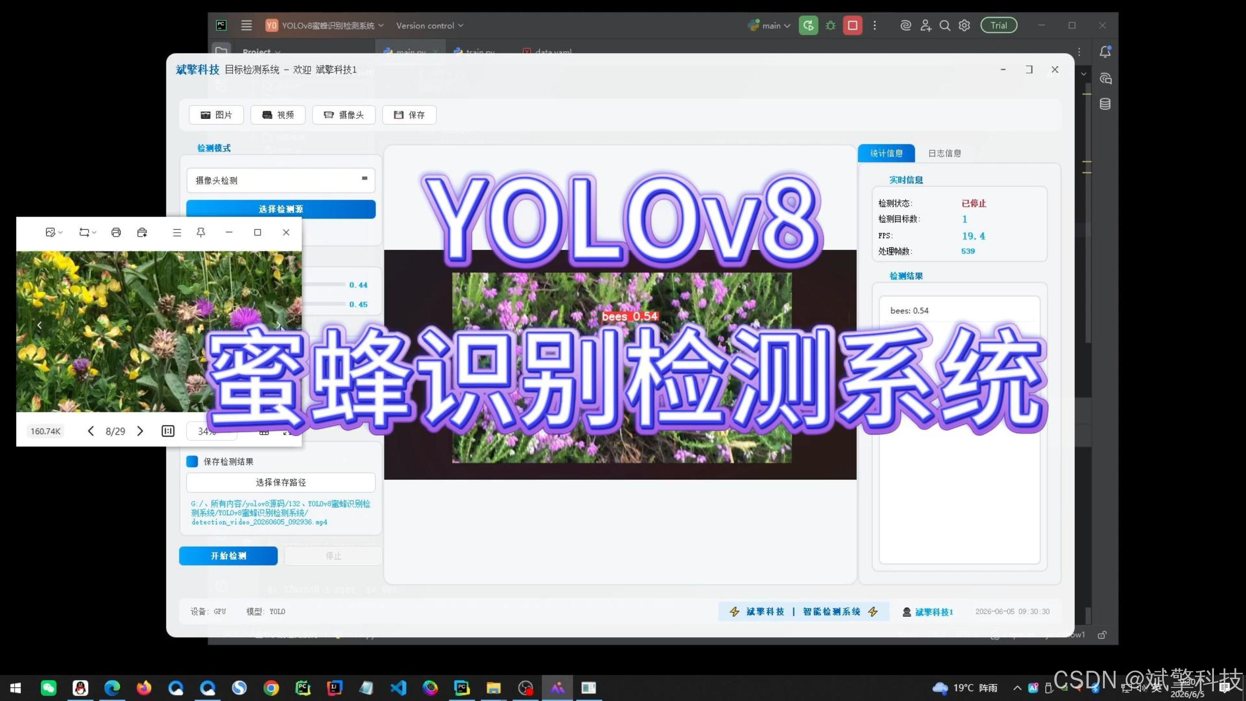 YOLOv8蜜蜂识别检测系统（项目源码+YOLO数据集+模型权重+UI界面+python+深度学习+环境配置+目标检测）-CSDN博客