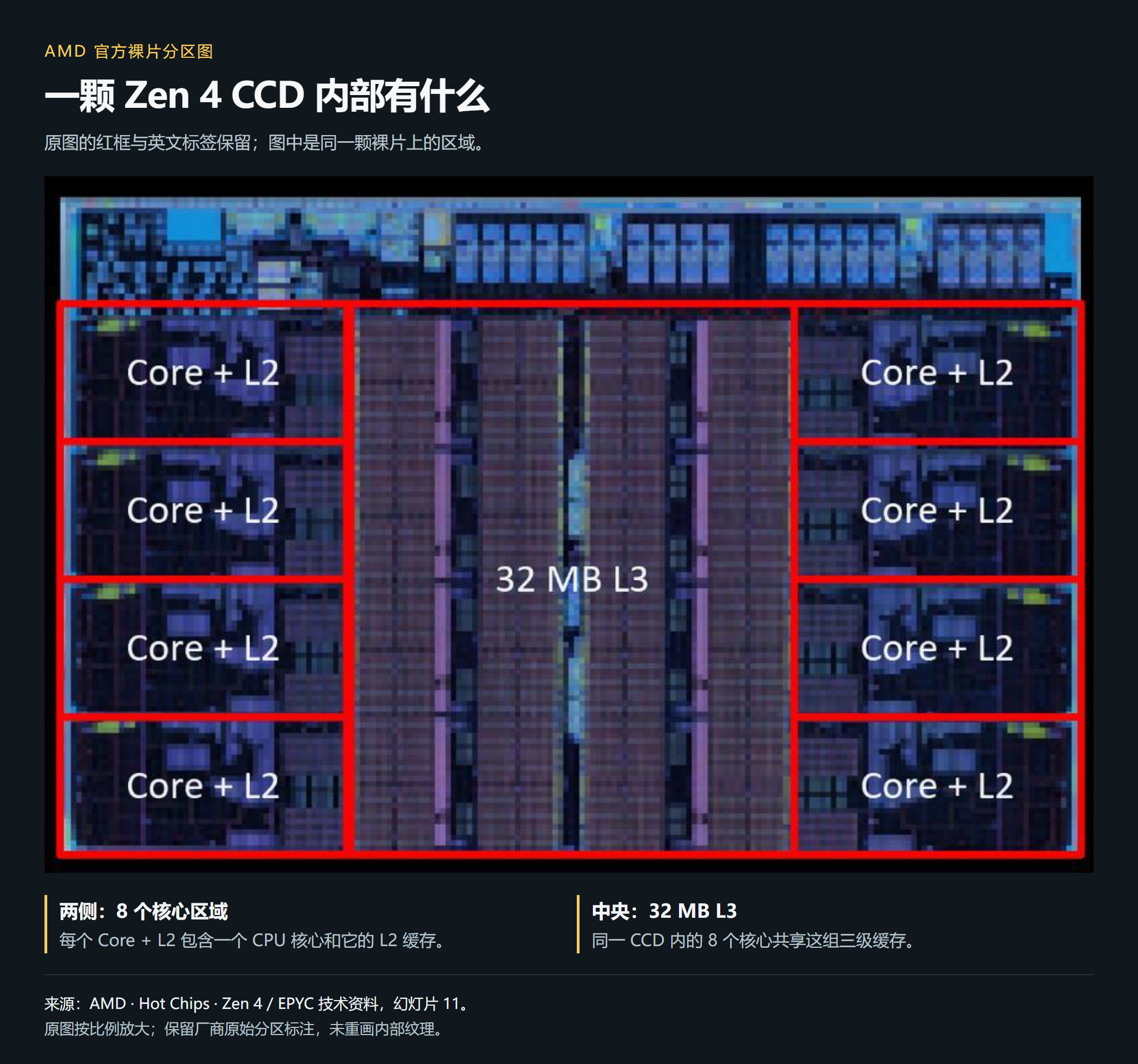 AMD Zen 4 CCD 裸片分区图：两侧各四组 Core 与 L2，中央为 32 MB L3