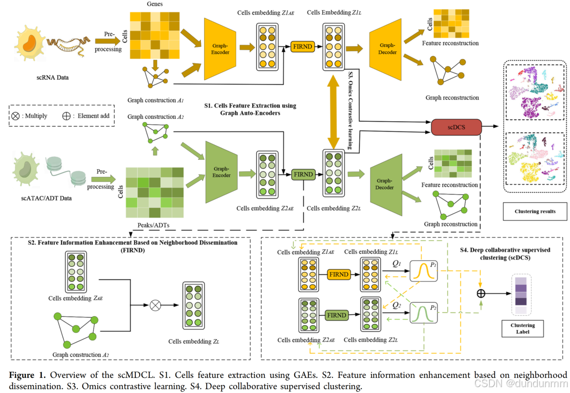 【论文阅读】scMDCL: A Deep Collaborative Contrastive Learning Framework ...