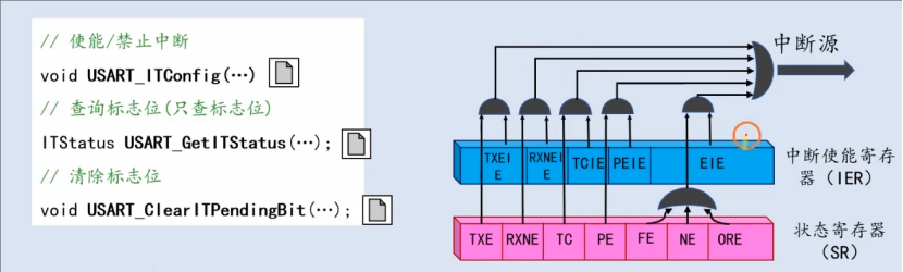 【STM32】江科大STM32小白养成记