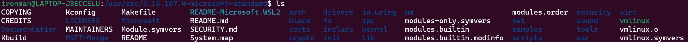 WSL2+Ubuntu20.04+ROS1 Noetic下，如何复现ORB-SLAM3算法_wsl ubuntu ros