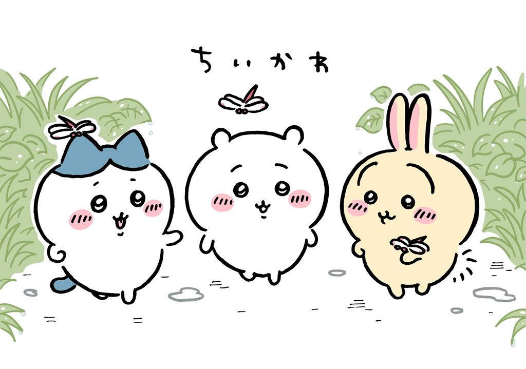 在這里插入圖片描述