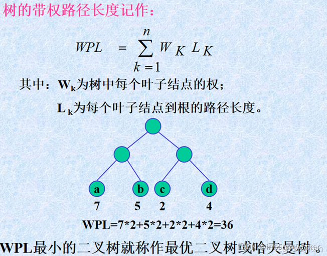 树和二叉树_一棵树 只有 左右 两个节点 怎么 定义 节点编号-CSDN博客
