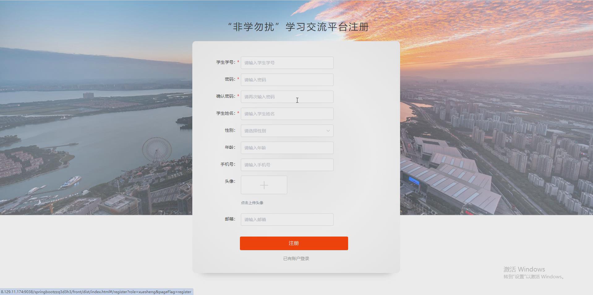 在这里插入图片描述