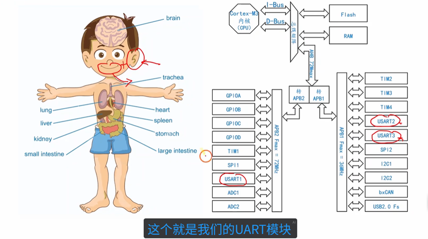 UART模块的使用方法-CSDN博客