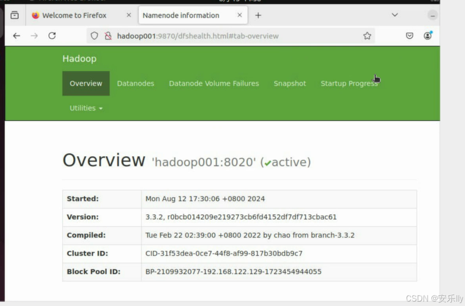 打开hadoop001:9870