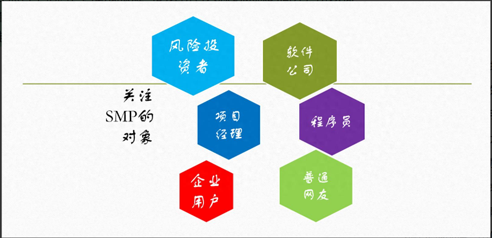 图1-SMP关注的对象