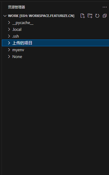 保姆级别Featurize使用教程（租用服务器，VSCode远程连接）
