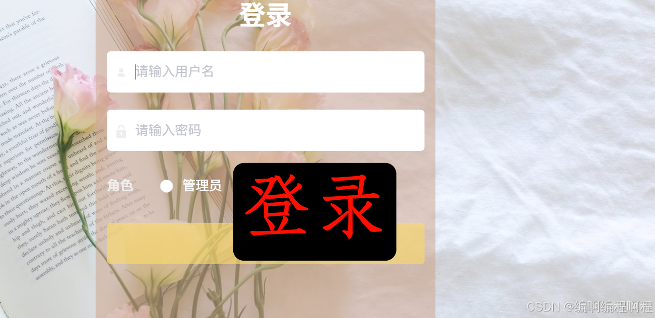 在这里插入图片描述